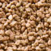 absorbent granules